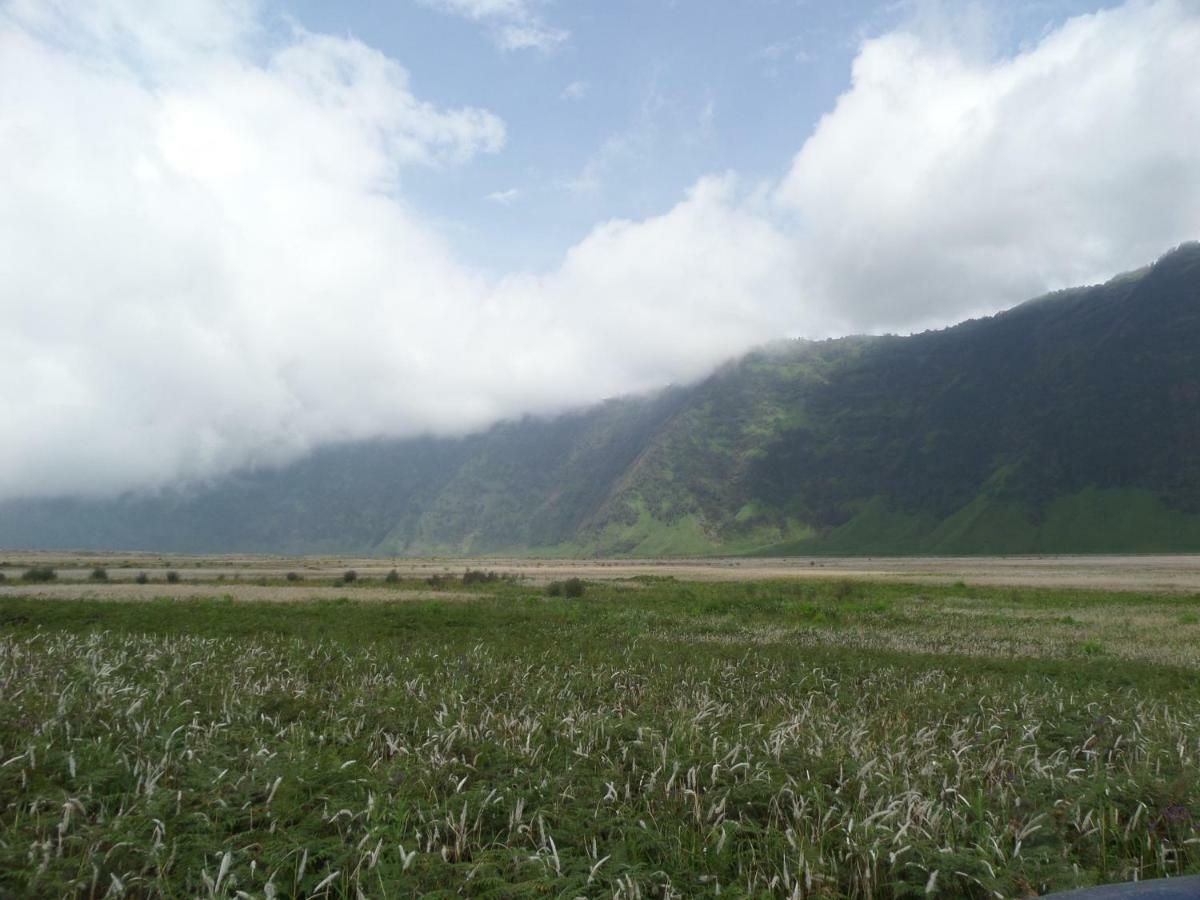Bromo Permai 1 Exterior foto