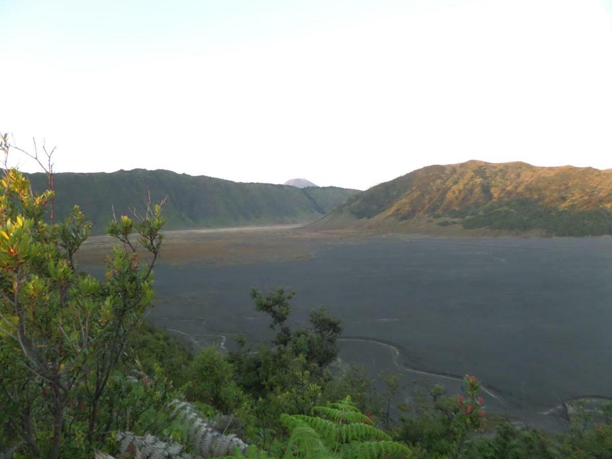 Bromo Permai 1 Exterior foto