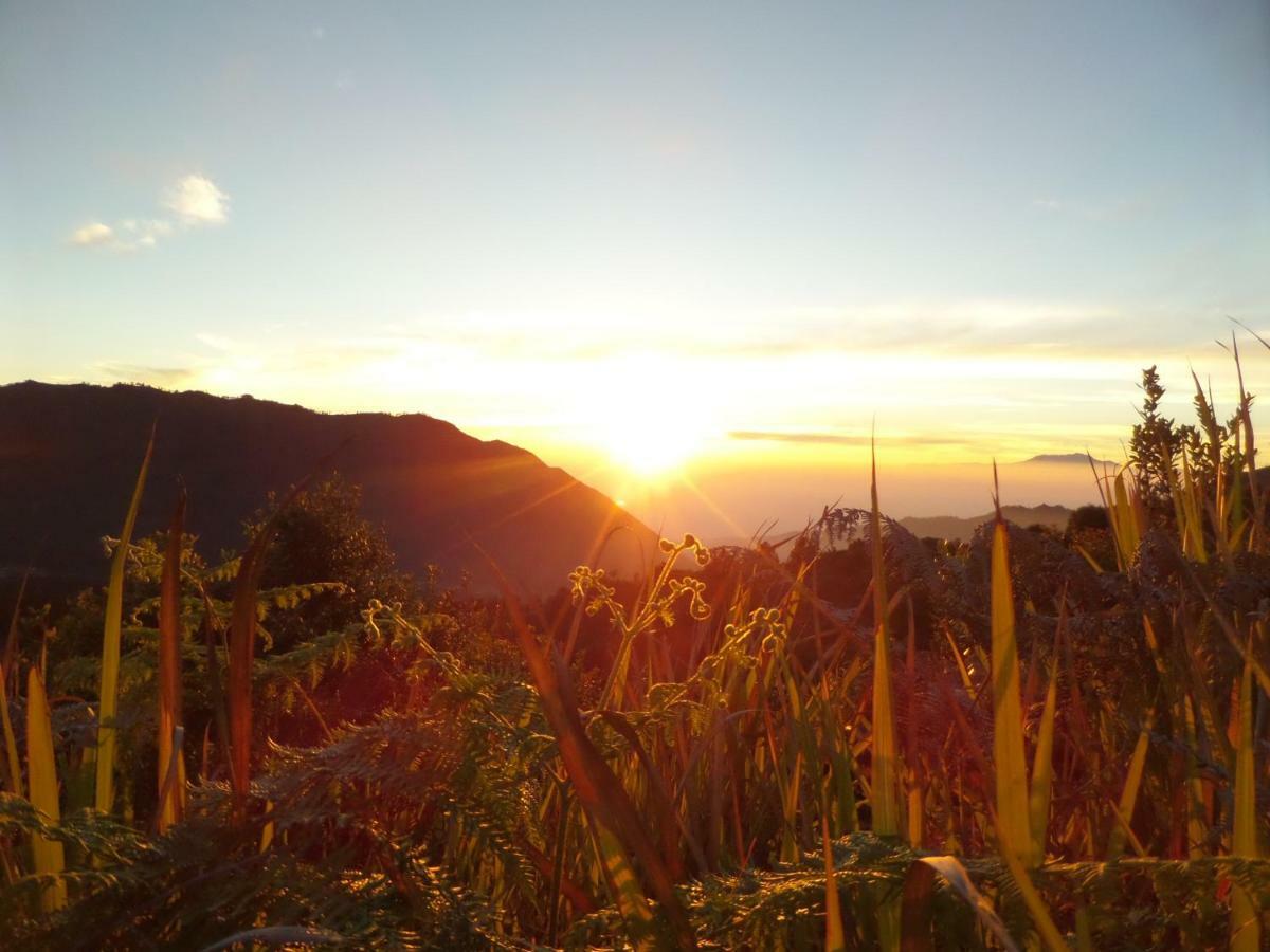 Bromo Permai 1 Exterior foto