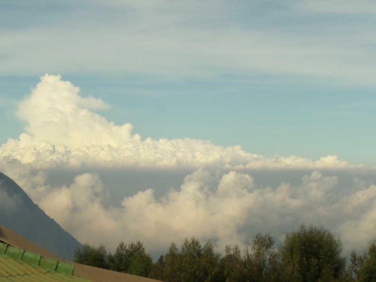 Bromo Permai 1 Exterior foto